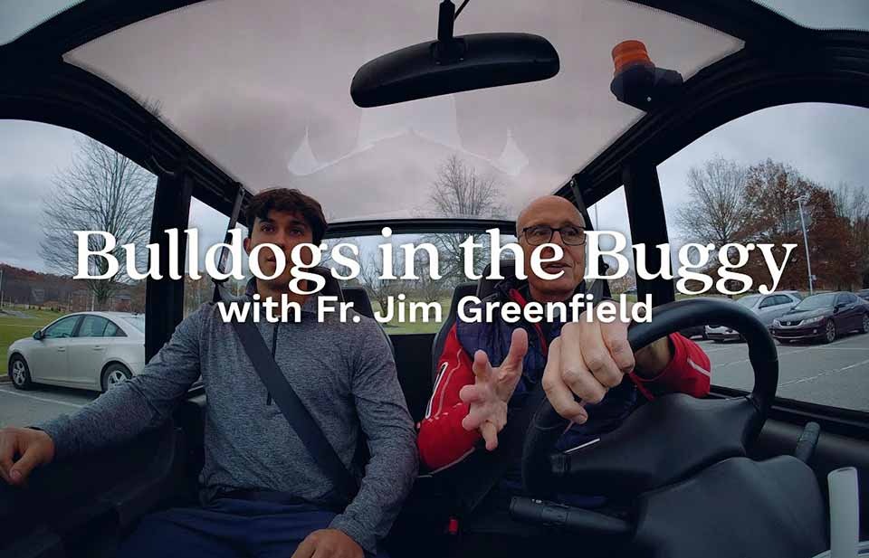 bulldogs in the buggy