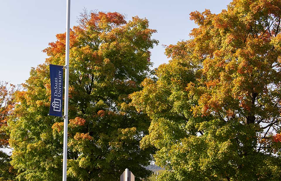 DeSales banner in front of trees that have leaves changing colors