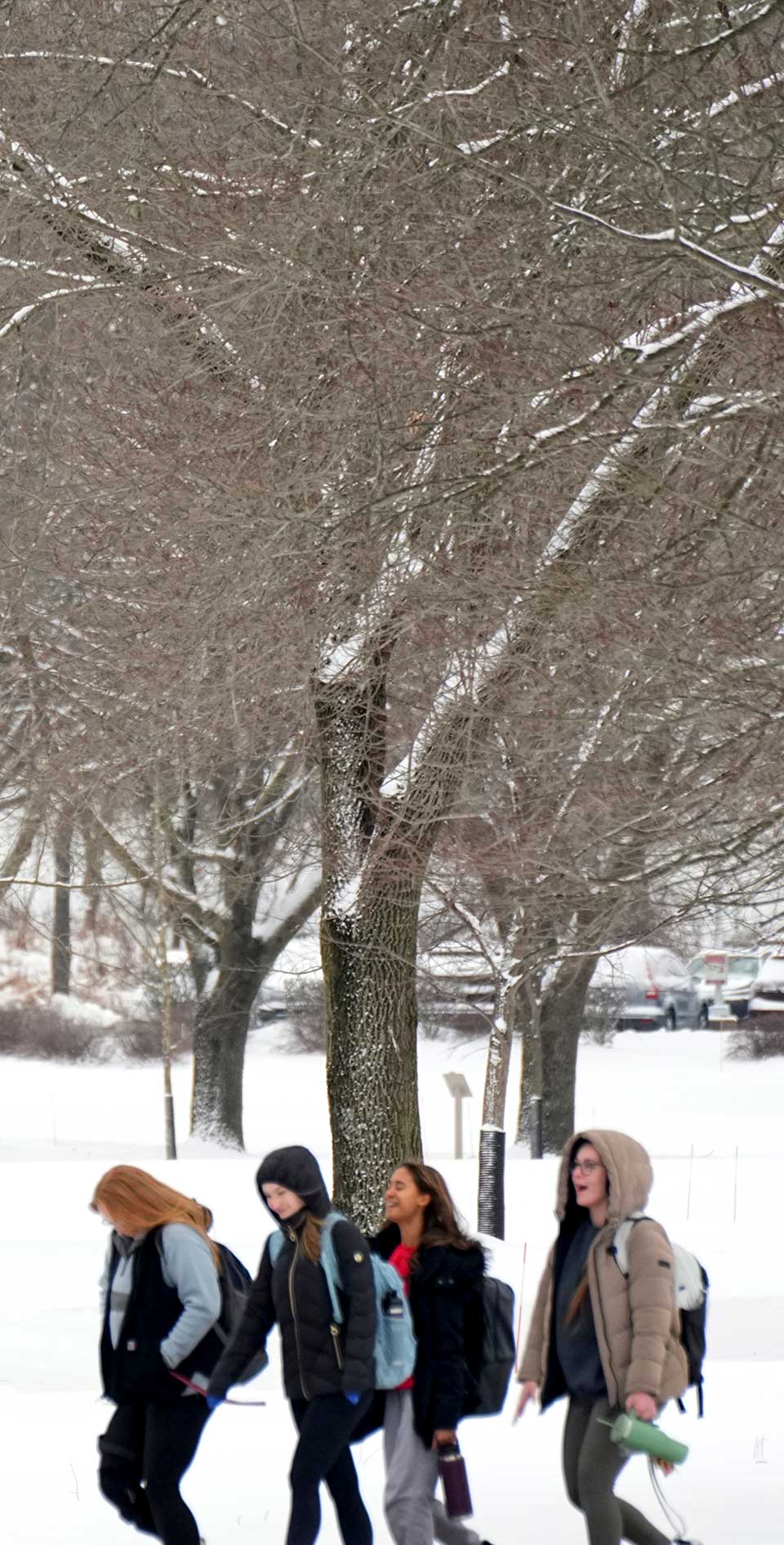 students walking through a beautiful snowy campus