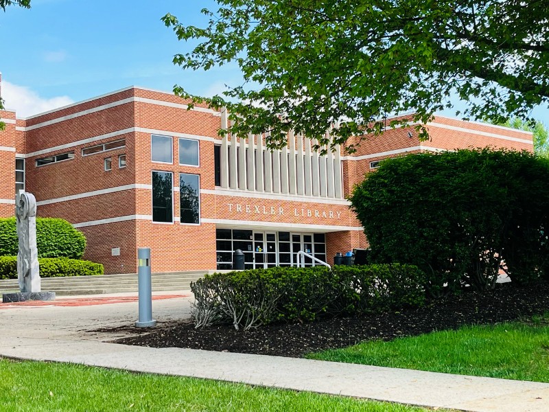 girl studying on a laptop