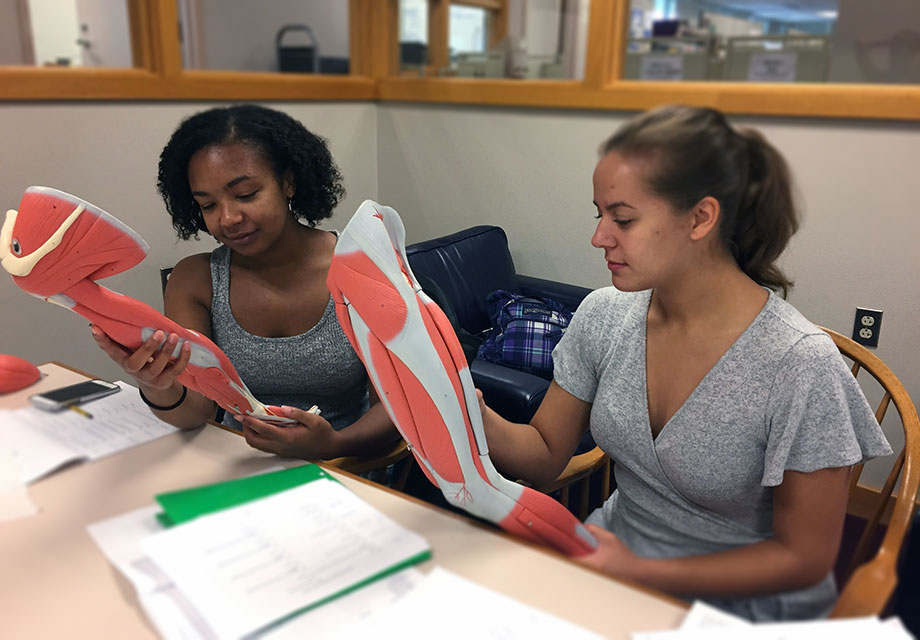 students with anatomical model