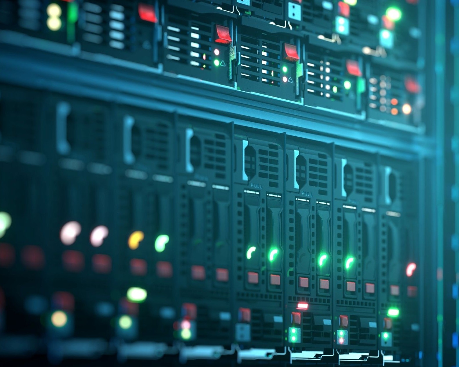 girl looking at a computer