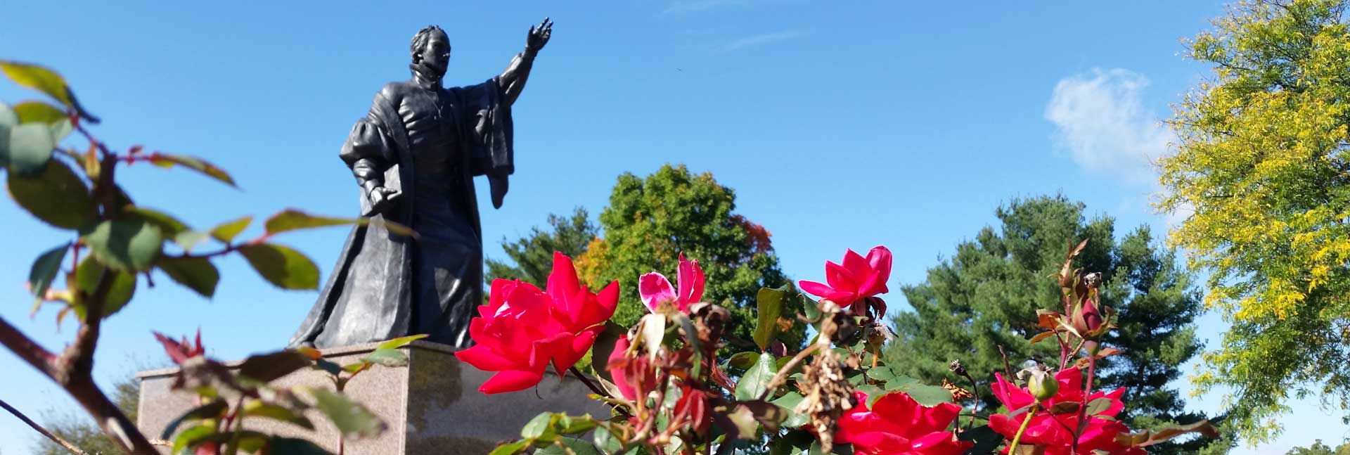 st francis statue