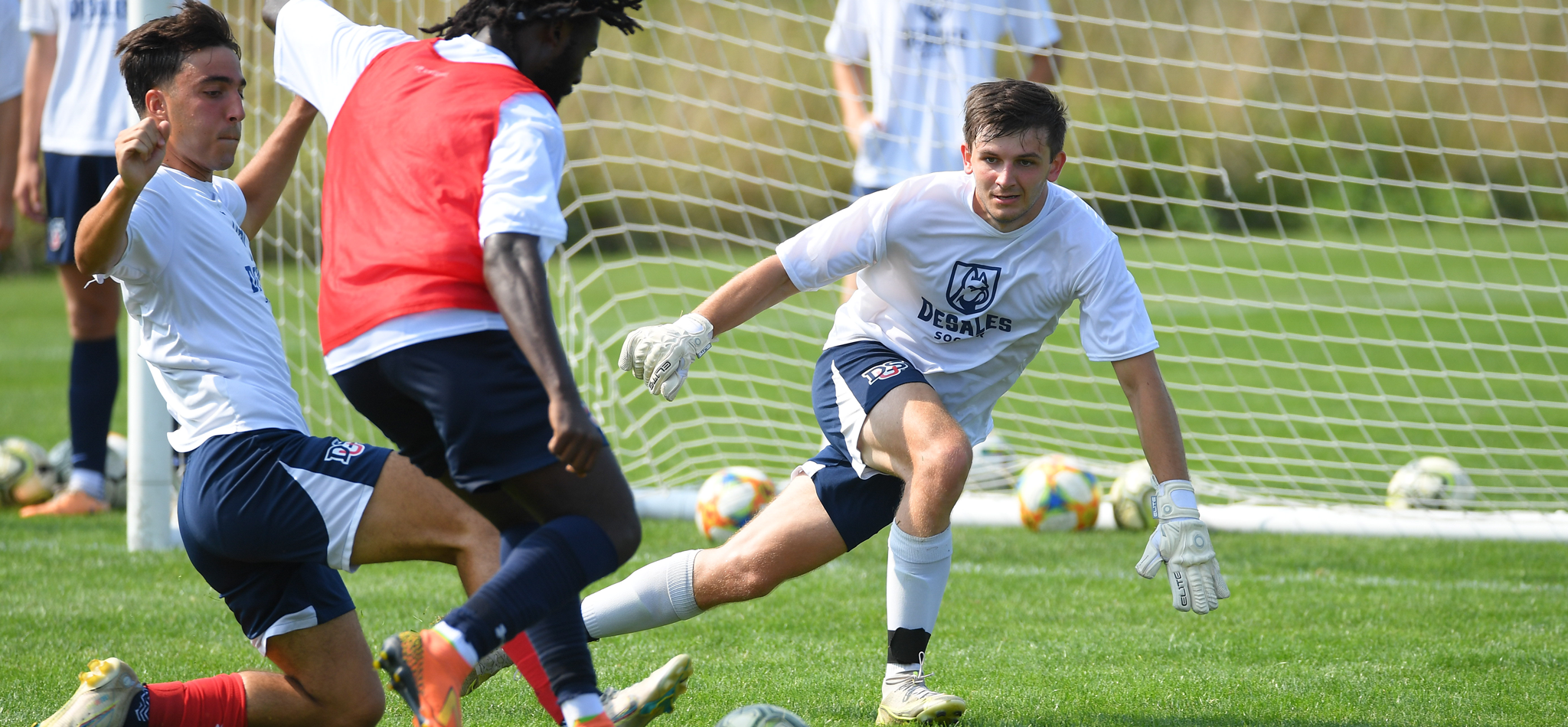 Desales University men's soccer